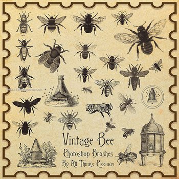 Vintage Bee