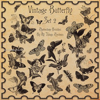 Vintage Butterflies