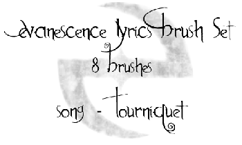Evanescence Lyrics Set