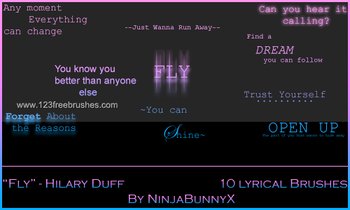 Fly Lyrical