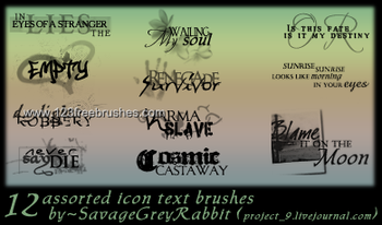 Icon Text