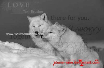 Love Text