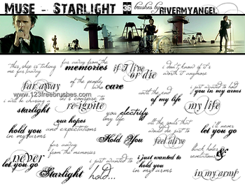 Muse Lyrics Text