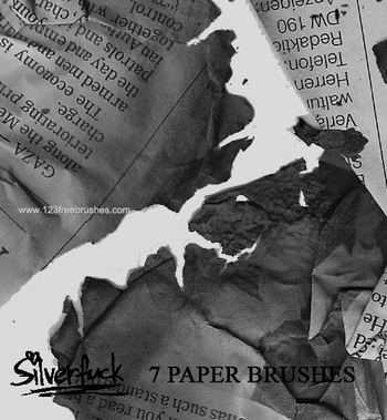 Newspaper