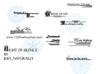 Night of Silence Lyrics