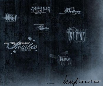 Script