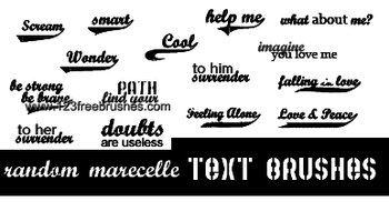 Text