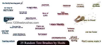 Text
