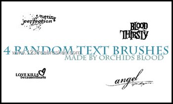Text