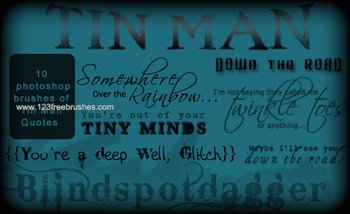 Tin Man Quote