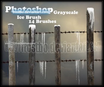 Ice