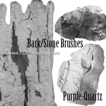 Tree Park and Stone