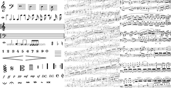 Musical Notes 11