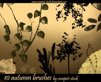 autumn