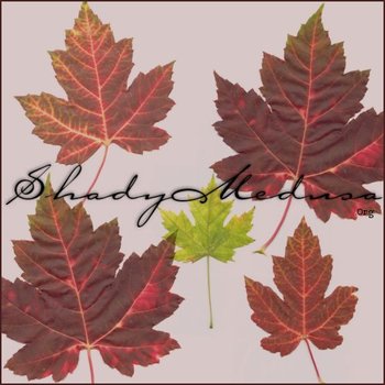 autumn leaves
