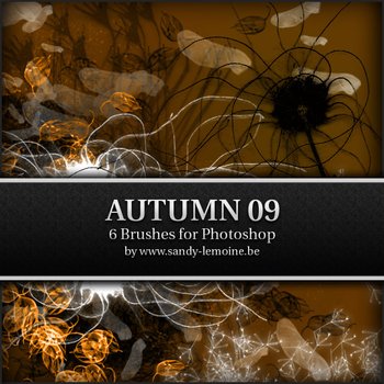 autumn leaves