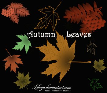Autumn Leaves