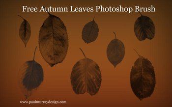 Autumn Leaves