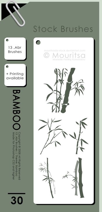 bamboo