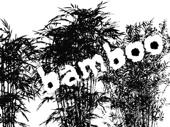 Bamboo