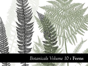 Botanical