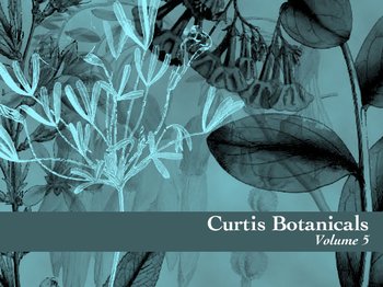 Botanical