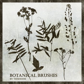 Botanical