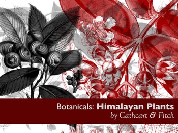 Botanical