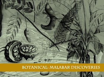 Botanical