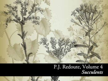 Botanical
