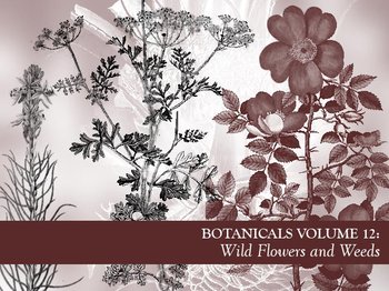 Botanical