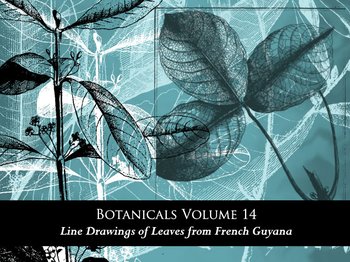 Botanical