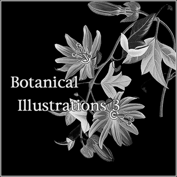 Botanical Illustrations