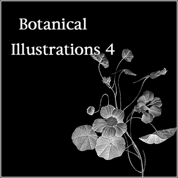 Botanical Illustrations