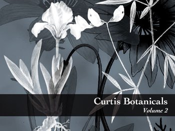 Botanical plant