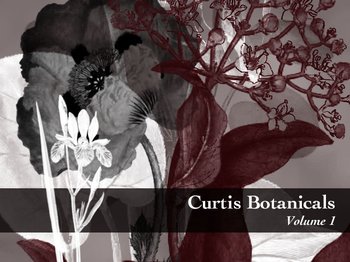 Botanical plants