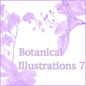 Botanicals