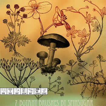 Botany