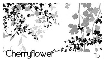 Cherry flower