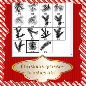 Christmas fir branches