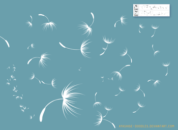 Dandelion Seeds