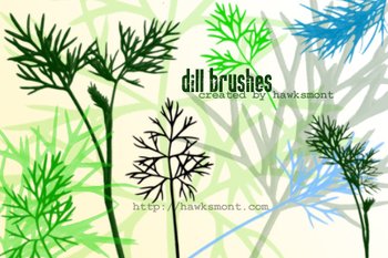 Dill
