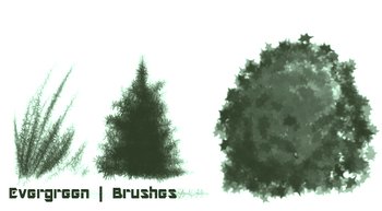 Evergreen