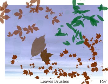 Fall of the leaves