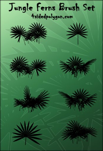Fern