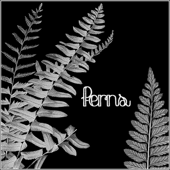 Ferns