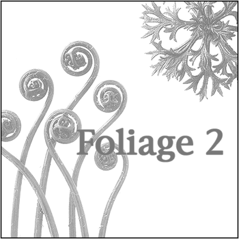 foliage