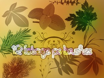 foliage