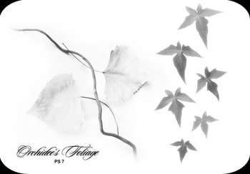 Foliage