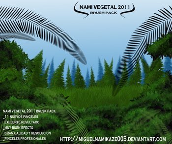 forest